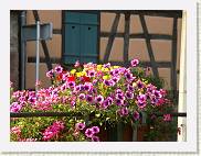 2007-08-26_18-08-17_Aout_200,0mm_1_250_eme_DiMAGE A2 * 2560 x 1920 * (3.58MB)